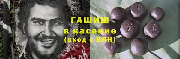 дмт Дмитров