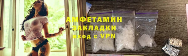 тгк Дмитриев