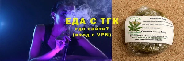 тгк Дмитриев