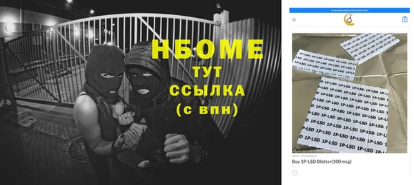 тгк Дмитриев