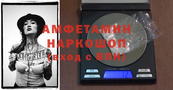 тгк Дмитриев