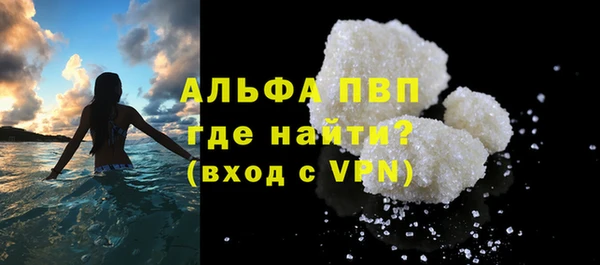 дмт Дмитров