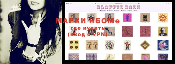 амф Гусев