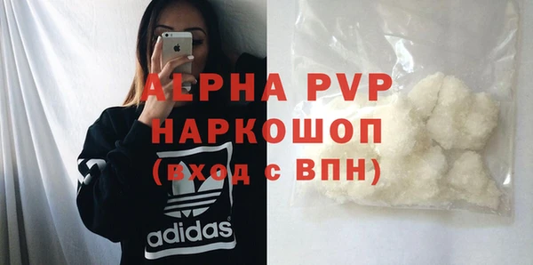 тгк Дмитриев