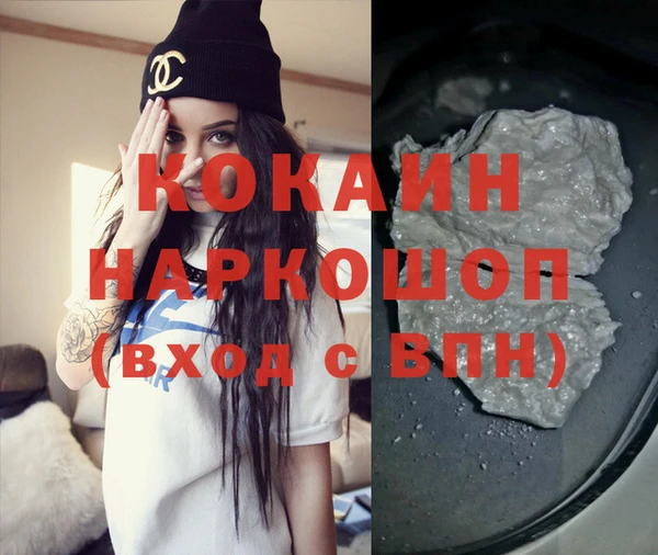 тгк Дмитриев