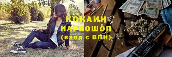дмт Дмитров