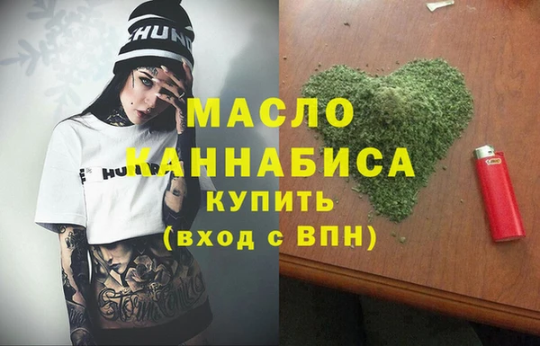 тгк Дмитриев