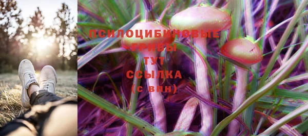 дмт Дмитров