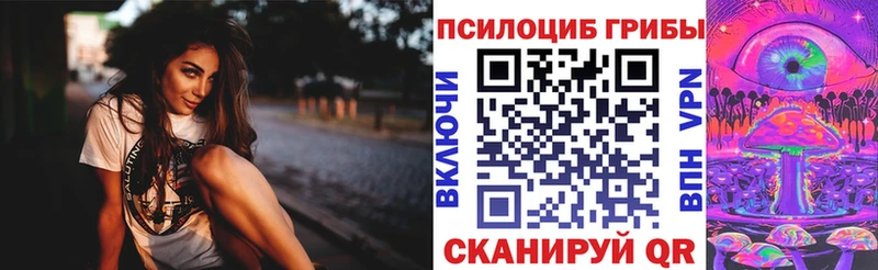 Купить  Надым  Галлюциногенные грибы Cubensis 